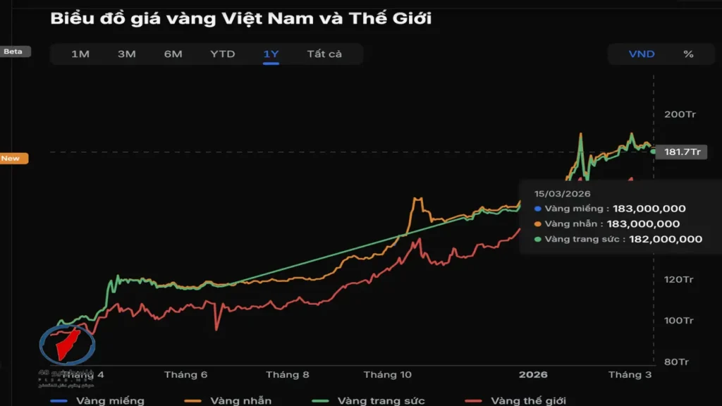 استقرار أسعار الذهب محلياً بفجوة تصل إلى 24 مليون دونغ عن العالمية